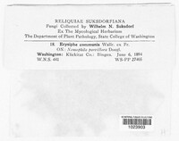 Image Associated With the Occurence